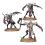 Hédonites de Slaanesh V4 - Slaangor Fiendbloods