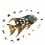 Puzzle En Bois Le Poisson Bavard - Harmandi