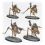 Necromunda - Ash Waste Nomads Dustback Helamites
