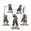 Warhammer AOS - Nighthaunt/ Soulblight Gravelords - Hexwraiths/ Black Knights