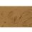 FX 2023 - Terre Brune