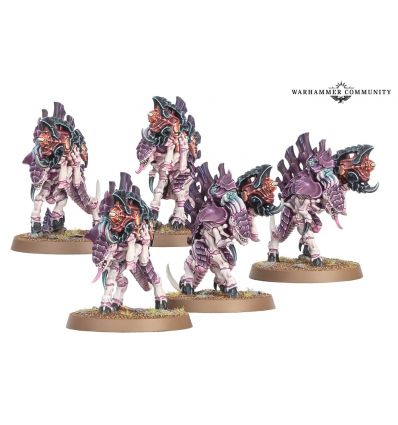 Barbgaunts