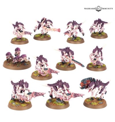 Termagants