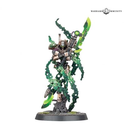 TÉTRARQUE AVEC LINCEUL DE TRANSLOCALISATION