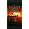 Flesh and Blood - The hunted Booster