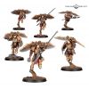 LEGIO CUSTODES: VENATARI SODALITY
