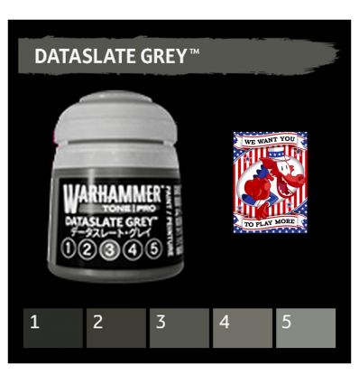 Warhammer Tone Pro -  DATASLATE GREY 2 12ML ROW